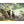 Load image into Gallery viewer, Φουσκωτή Σανίδα WATTSUP Espadon 11 NEW